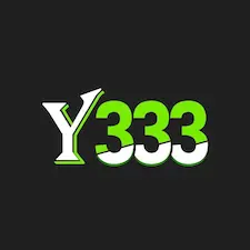 Y333 Game icon